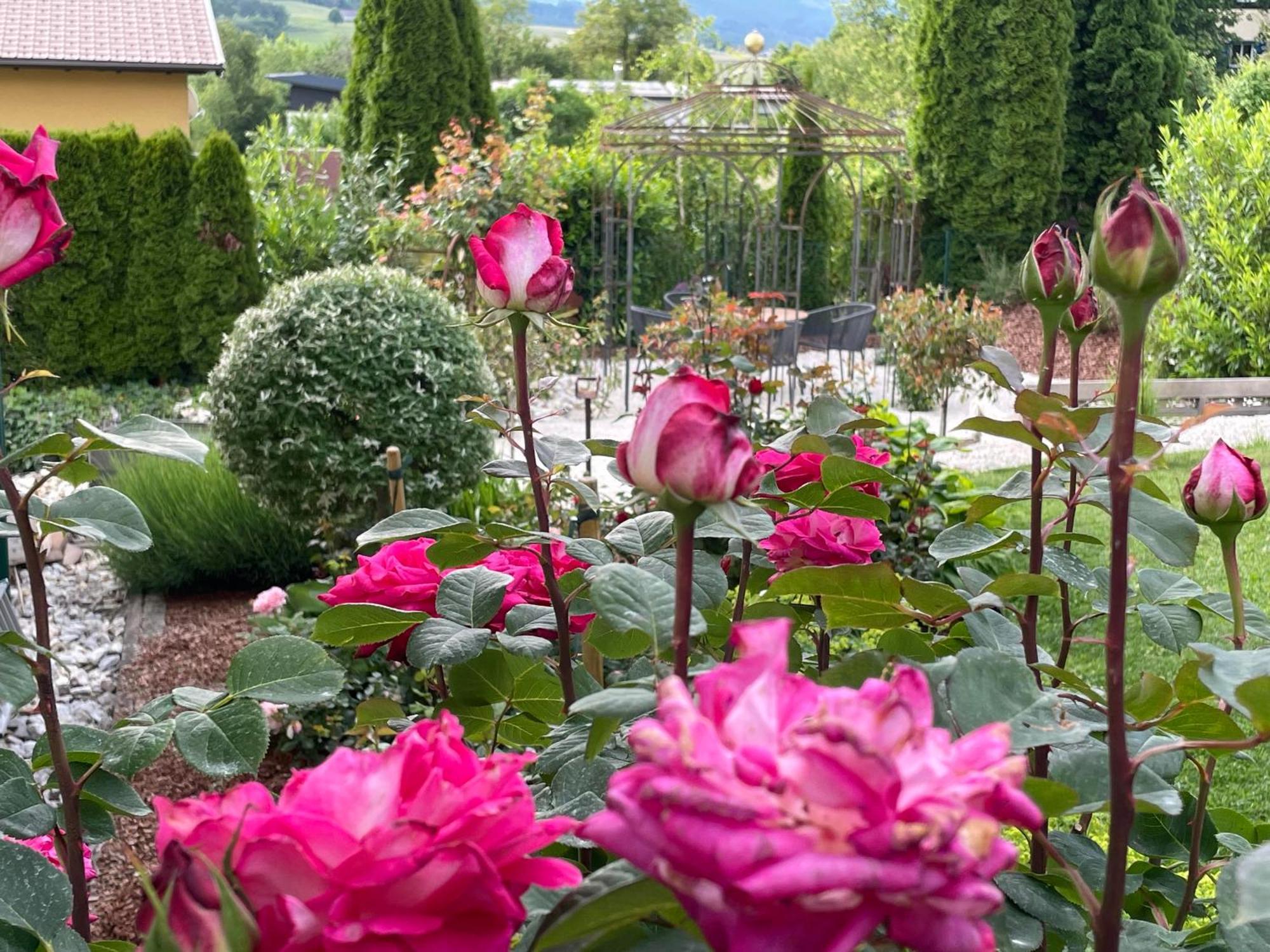 Althofen  Bed And Breakfast Mittelkaernten מראה חיצוני תמונה